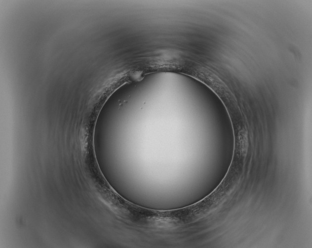 X0000113210255200909171540