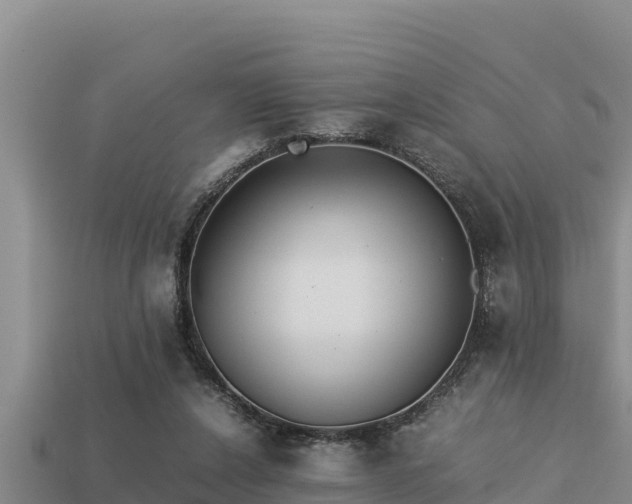 X0000113210256200909171540