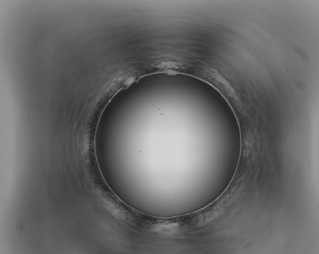 X0000113210257200909171540