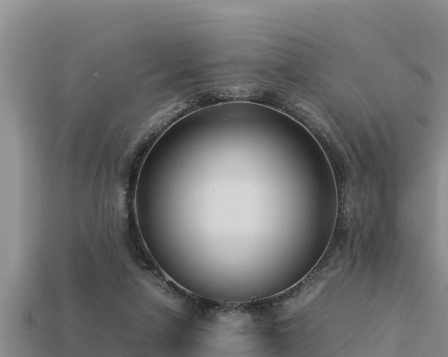 X0000113210258200909171540