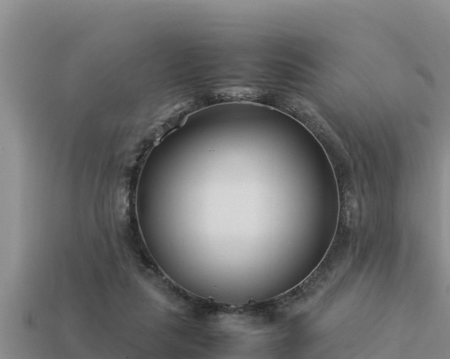 X0000113210259200909171540