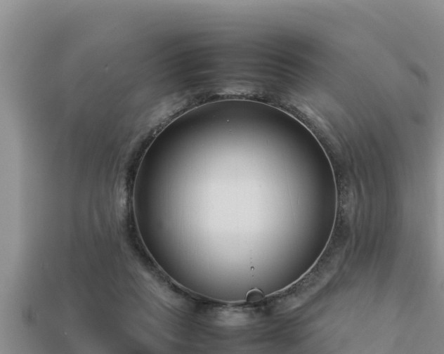 X0000113210261200909171540