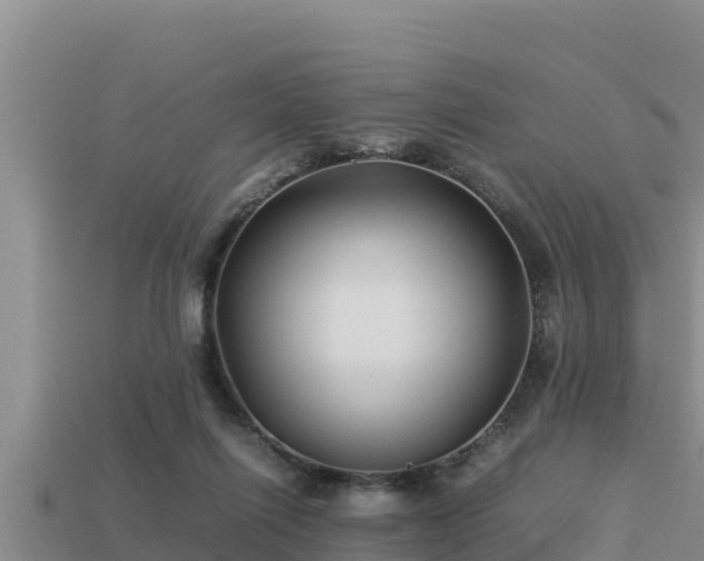 X0000113210262200909171540