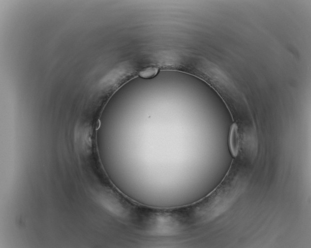 X0000113210264200909171540