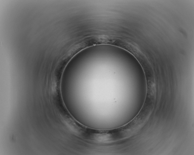 X0000113210266200909171540