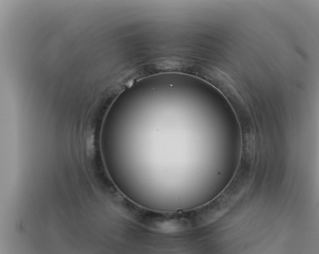 X0000113210267200909171540