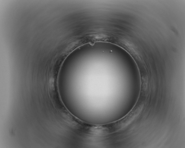 X0000113210269200909171540