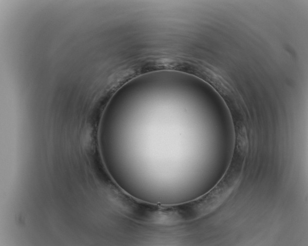 X0000113210270200909171540