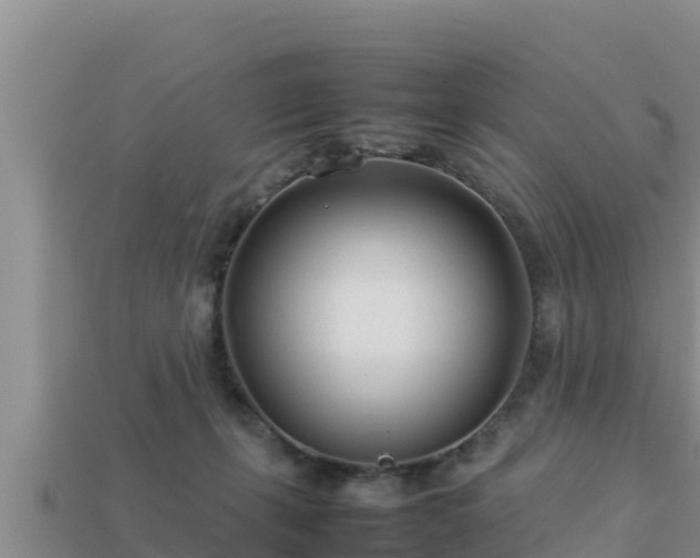 X0000113210271200909171540