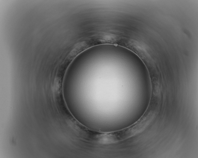 X0000113210273200909171540