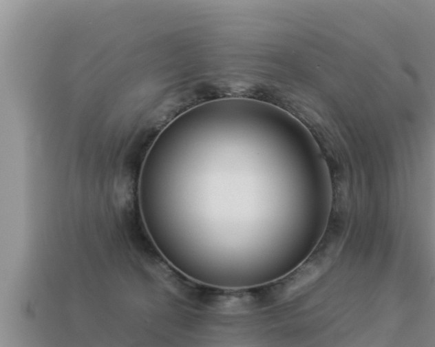 X0000113210274200909171540