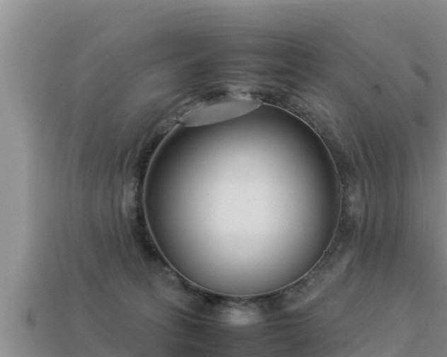 X0000113210275200909171540