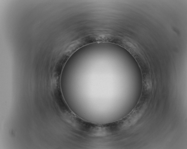 X0000113210276200909171540