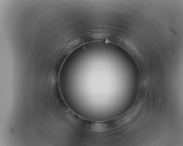 X0000113210277200909171540