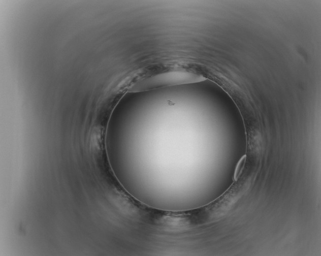 X0000113210280200909171540