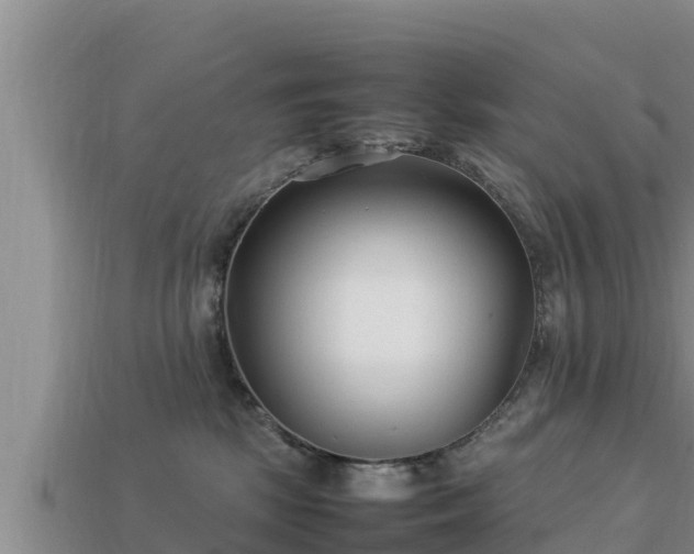 X0000113210281200909171540