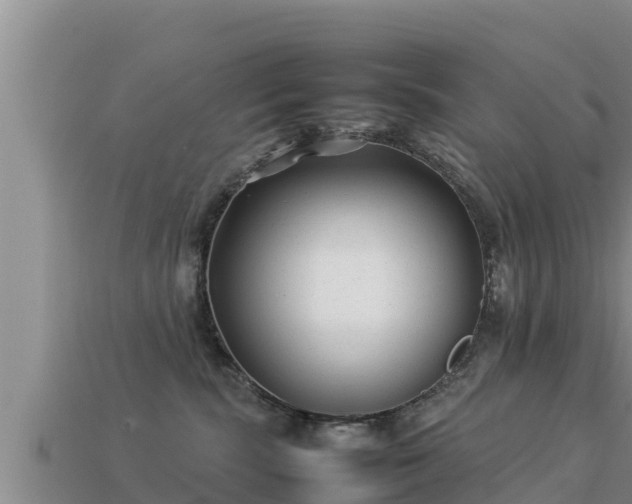 X0000113210283200909171541