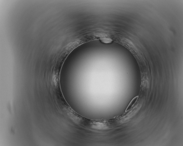 X0000113210285200909171541