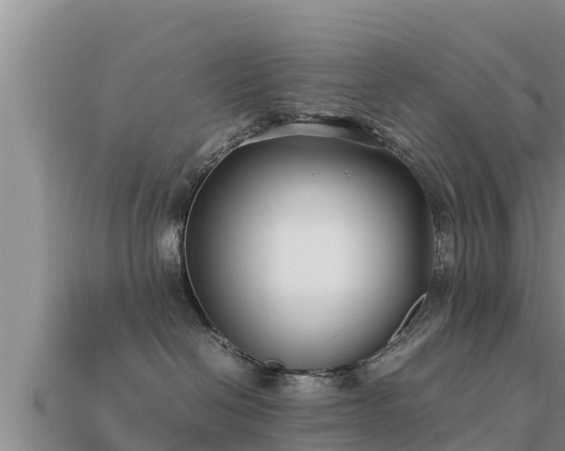 X0000113210286200909171541