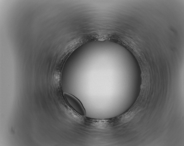 X0000113210288200909171541