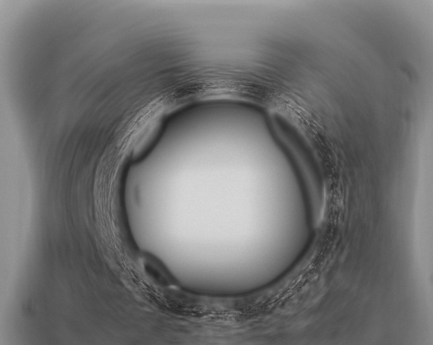 X0000113210289200909171540