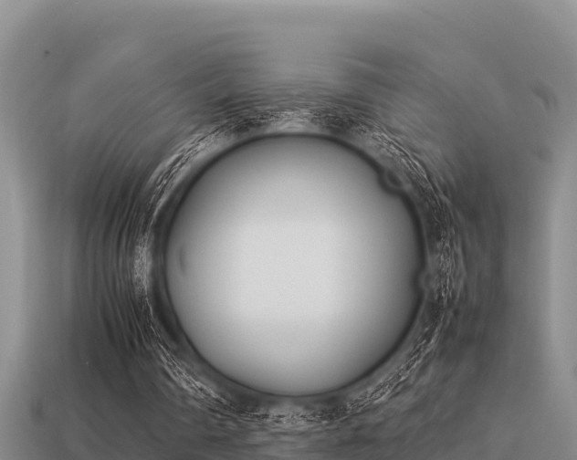 X0000113210290200909171540