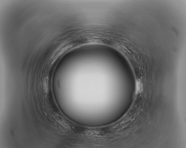 X0000113210291200909171540