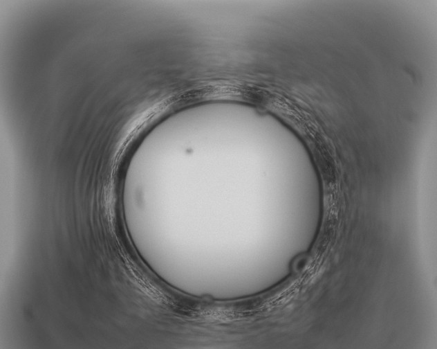 X0000113210293200909171540