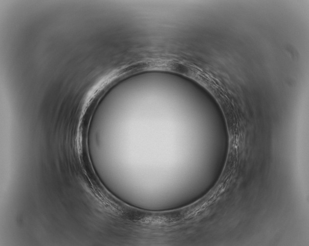 X0000113210294200909171540