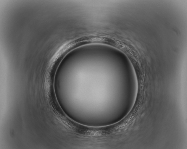 X0000113210295200909171540