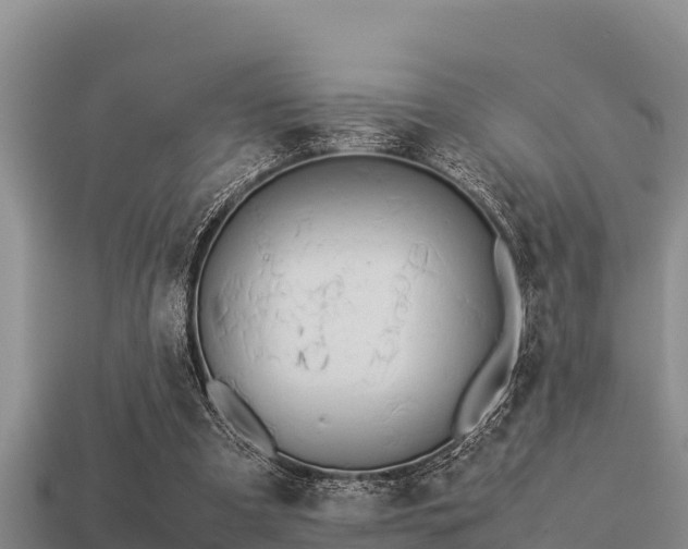 X0000113210297200909171540