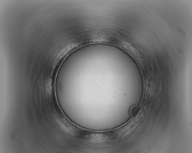 X0000113210298200909171540