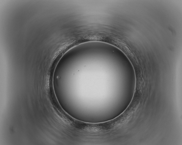 X0000113210299200909171540