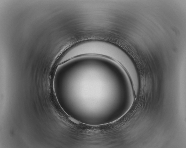 X0000113210300200909171540