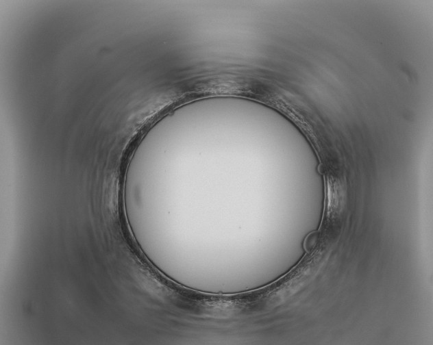 X0000113210301200909171540