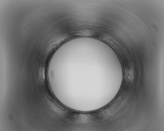 X0000113210302200909171540