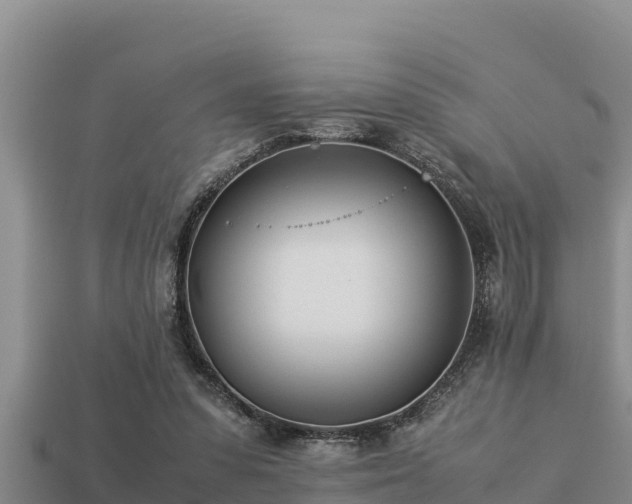 X0000113210303200909171540