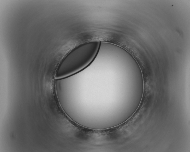 X0000113210305200909171540