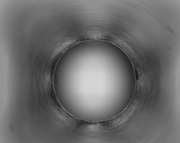 X0000113210306200909171540