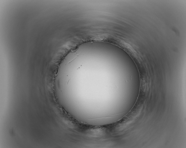 X0000113210307200909171540