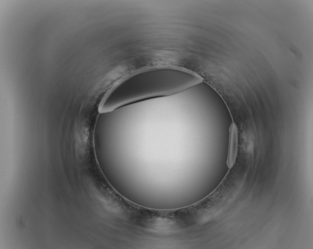 X0000113210308200909171540