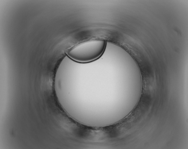 X0000113210309200909171540