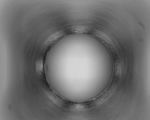 X0000113210310200909171540