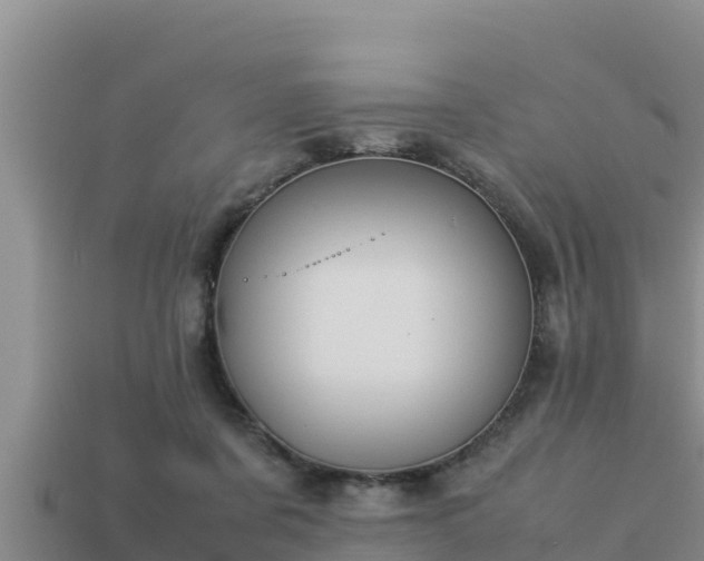 X0000113210311200909171540