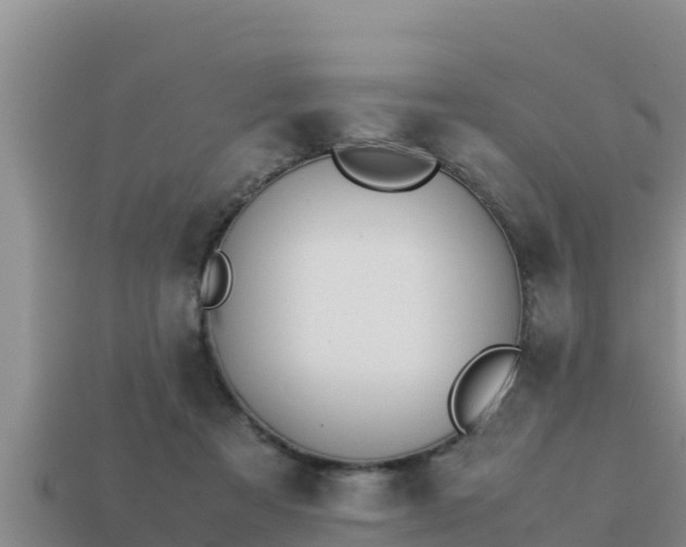 X0000113210313200909171540