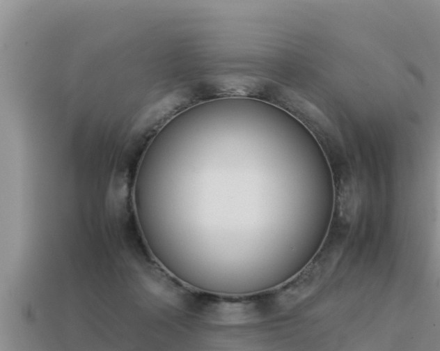 X0000113210314200909171540