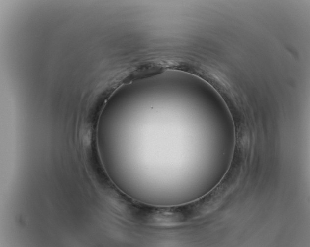 X0000113210315200909171540