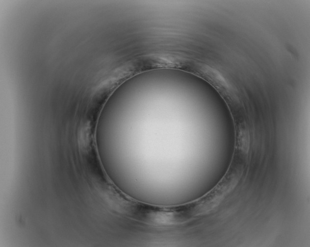 X0000113210318200909171540