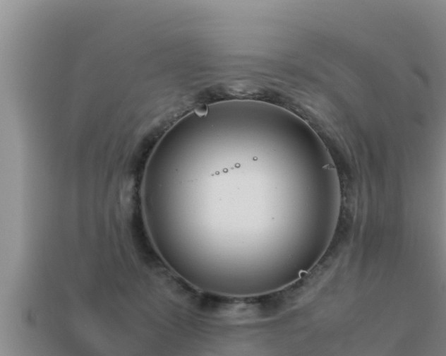 X0000113210319200909171540