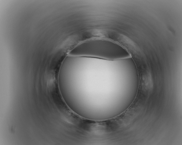 X0000113210320200909171540